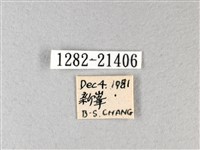 禾弄蝶藏品圖，第3張