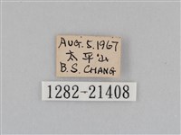 深山黛眼蝶藏品圖，第3張