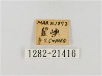 薑弄蝶藏品圖，第3張