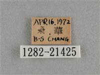 豆波灰蝶藏品圖，第3張