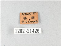 長翅弄蝶藏品圖，第3張