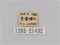 深山黛眼蝶藏品圖，第3張