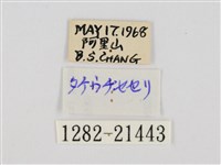 黃點弄蝶藏品圖，第3張