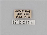 江崎波眼蝶藏品圖，第3張