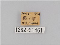 小波眼蝶藏品圖，第3張