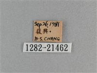 臺灣斑眼蝶藏品圖，第3張