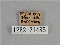 小稻弄蝶藏品圖，第3張