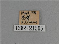 曲紋袖弄蝶藏品圖，第3張