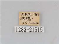 深山黛眼蝶藏品圖，第3張