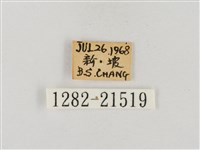 稻弄蝶藏品圖，第3張