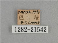 白斑弄蝶藏品圖，第3張