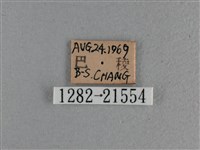玉帶弄蝶藏品圖，第3張
