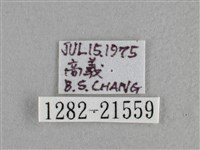 小稻弄蝶藏品圖，第3張