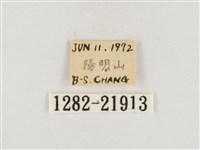 榕透翅毒蛾藏品圖，第3張