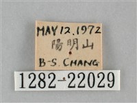 眉原褐刺蛾藏品圖，第3張
