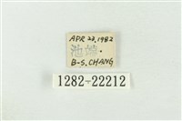 素木綠刺蛾藏品圖，第3張