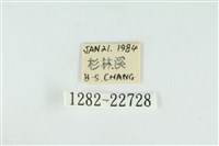 黑平波紋蛾藏品圖，第3張