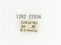 黃斑陷紋金龜藏品圖，第2張