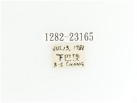 黃斑陷紋金龜藏品圖，第2張