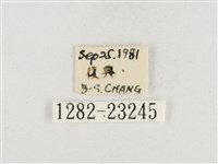 小白紋毒蛾藏品圖，第3張