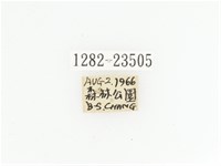 黃斑陷紋金龜藏品圖，第2張