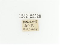 黃斑陷紋金龜藏品圖，第2張