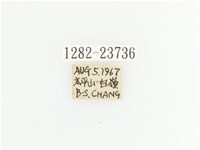 黃斑陷紋金龜藏品圖，第2張