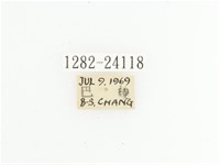 黃斑陷紋金龜藏品圖，第2張