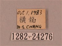 裂斑鷹翅天蛾藏品圖，第3張