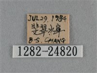 紫日灰蝶藏品圖，第3張