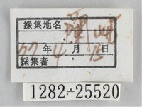 霜天蛾藏品圖，第3張