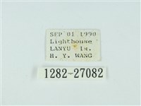 琉球雲紋網蛾藏品圖，第3張