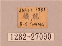 裂斑鷹翅天蛾藏品圖，第3張