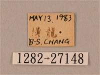 裂斑鷹翅天蛾藏品圖，第3張