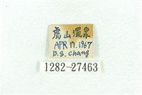 乳白斑燈蛾藏品圖，第3張