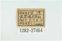 霓彩燕灰蝶藏品圖，第3張