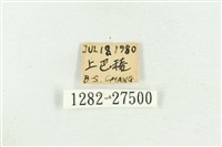 高砂燕灰蝶藏品圖，第3張