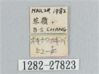 接骨木帶鉤蛾藏品圖，第3張