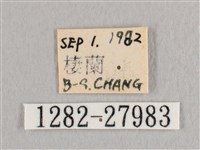 接骨木帶鉤蛾藏品圖，第3張