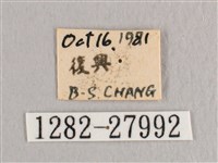 銀端帶鉤蛾藏品圖，第3張
