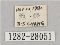 鉛斑帶鉤蛾藏品圖，第3張