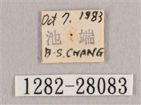 鉛斑帶鉤蛾藏品圖，第3張