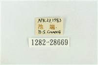 連珠波紋蛾藏品圖，第3張