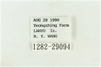 弧角散紋夜蛾藏品圖，第3張