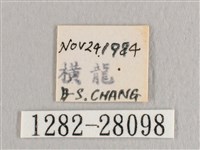 標瑙夜蛾藏品圖，第3張