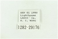 弧角散紋夜蛾藏品圖，第3張