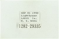 弧角散紋夜蛾藏品圖，第3張