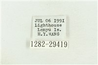 弧角散紋夜蛾藏品圖，第3張