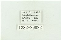 弧角散紋夜蛾藏品圖，第3張