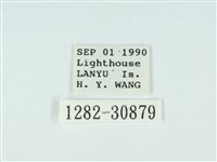 琉球雲紋網蛾藏品圖，第3張